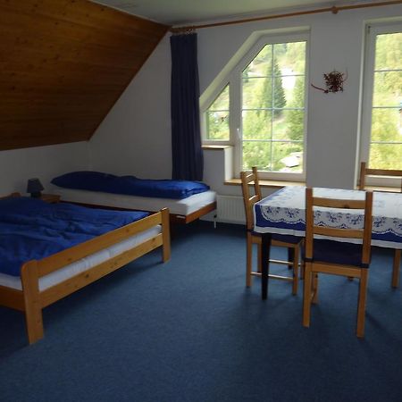Niky Hotel Josefuv Dul Room photo